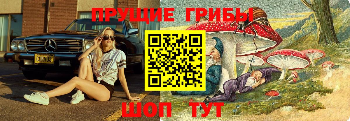 Галлюциногенные грибы Magic Shrooms Александров